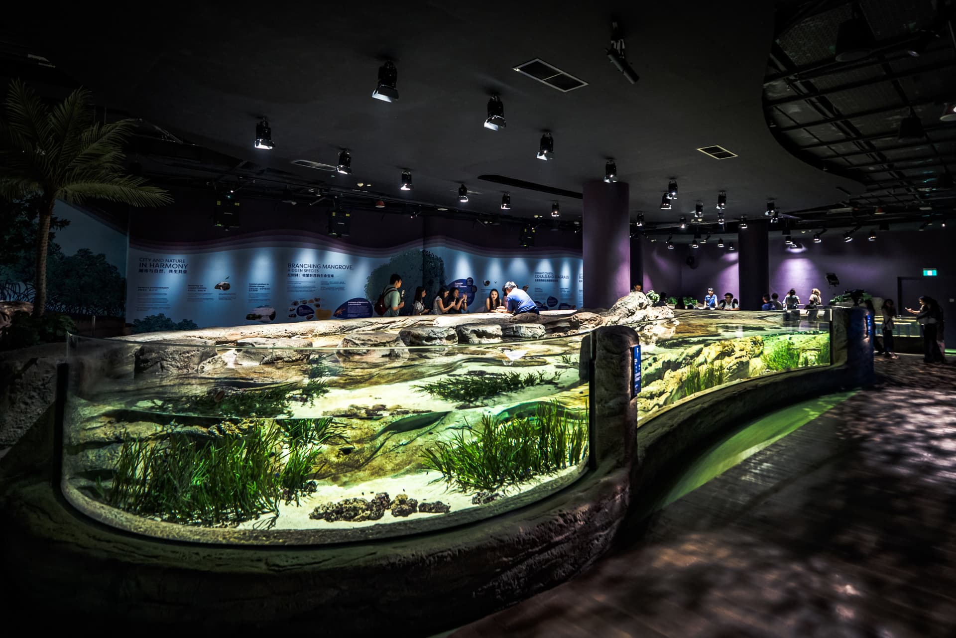 Singapore Oceanarium Ticket - image 11